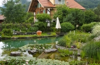 Piscine naturelle BioNova dans les Alpes