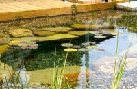 Piscine naturelle BioNova à filtration biologique dans le Var - Région PACA