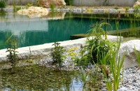 Piscine naturelle BioNova à filtration biologique dans le Var - Région PACA