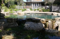 Piscine naturelle BioNova à filtration biologique en Australie