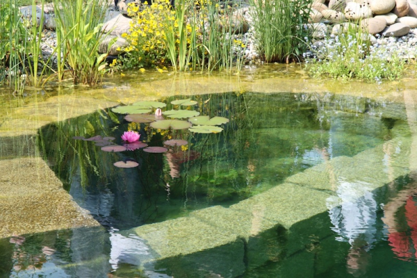 Piscine naturelle Alpes Maritimes