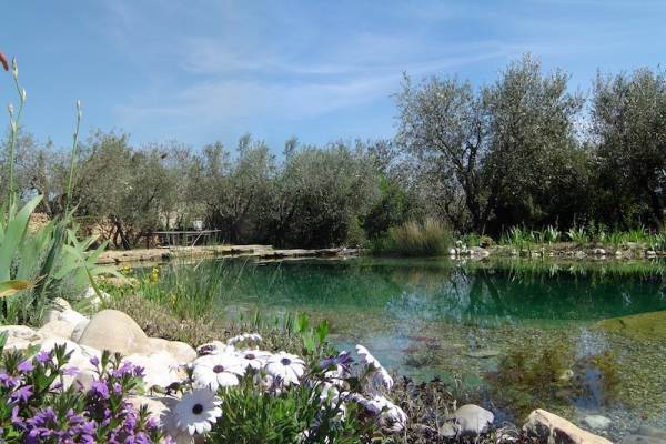 Piscine naturelle vaucluse