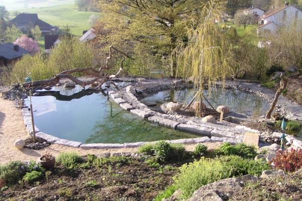 Piscine naturelle Suisse