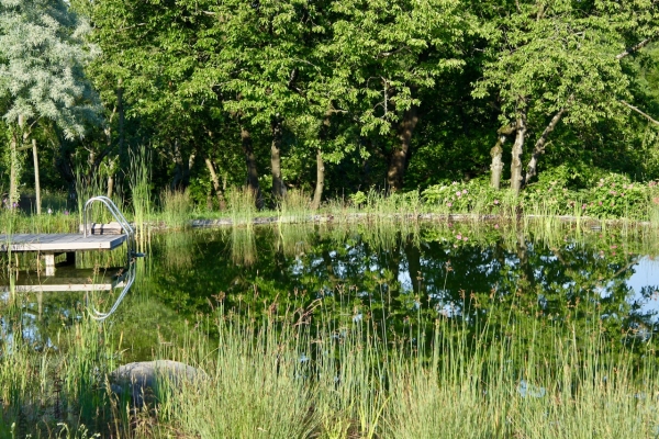 Piscine naturelle Yonne