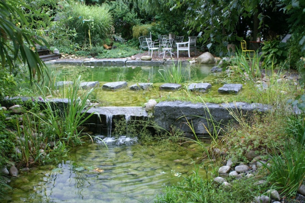 Piscine naturelle Suisse