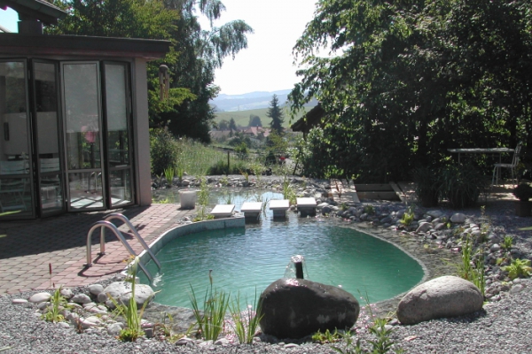 Piscine naturelle Suisse