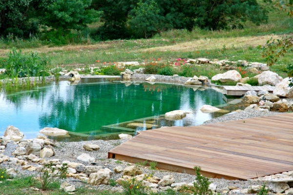 Piscine naturelle Alpes de Haute Provence 