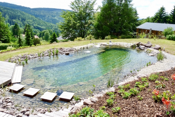 Piscine naturelle Alsace