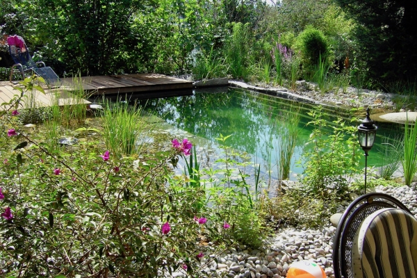 Baignade naturelle en Suisse