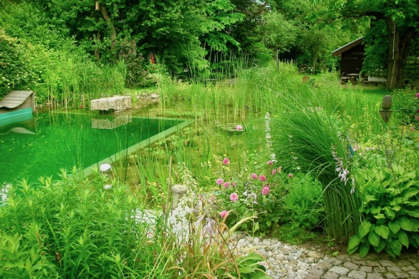 Piscine naturelle paysagère