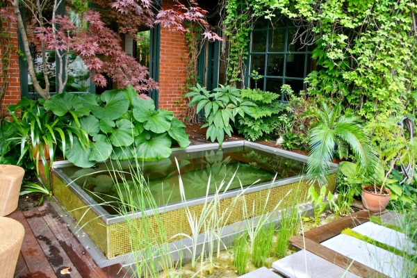 Piscine naturelle au Canada