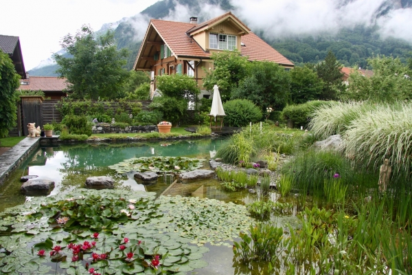 Piscine naturelle et biologique