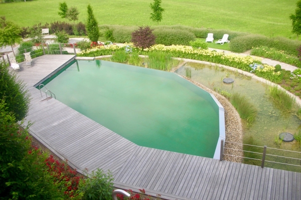 Piscine naturelle Hôtel