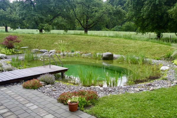 Piscine naturelle Alpes    