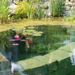 Piscine naturelle Alpes Maritimes