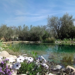 Piscine naturelle vaucluse