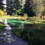 Piscine naturelle Italie