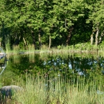 Piscine naturelle Yonne