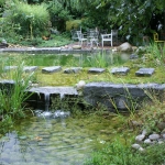 Piscine naturelle Suisse