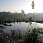 Baignade écologique Suisse