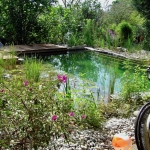 Baignade naturelle en Suisse