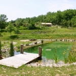 Piscine naturelle Tarn et Garonne