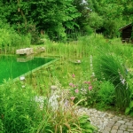 Piscine naturelle paysagère