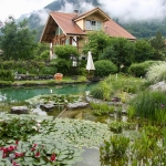 Piscine naturelle et biologique