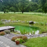 Piscine naturelle Alpes    