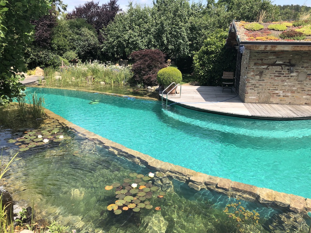 Piscine naturelle 