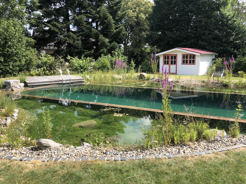 Piscine naturelle 