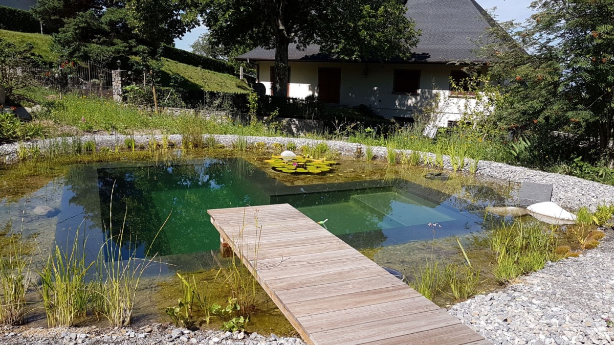 Piscine naturelle paysagère Haute Savoie