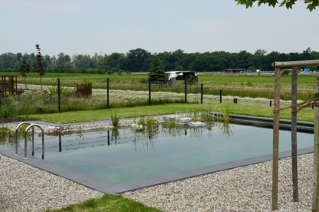 Piscine naturelle Allemagne