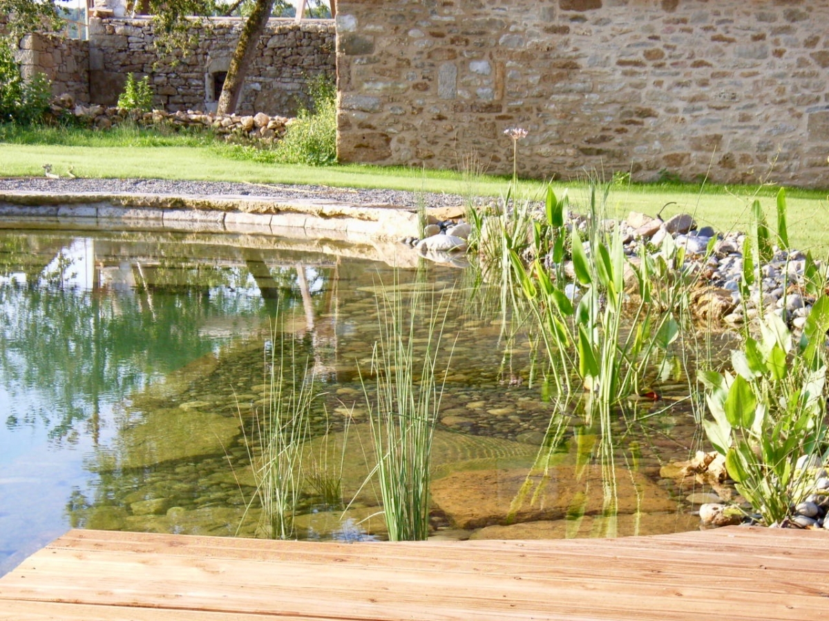 Piscine naturelle Lot