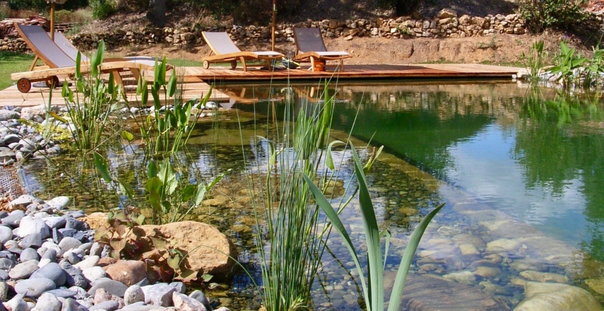 Piscine naturelle Lot