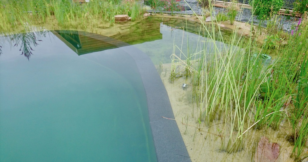 Piscine naturelle Morbihan - Bretagne 