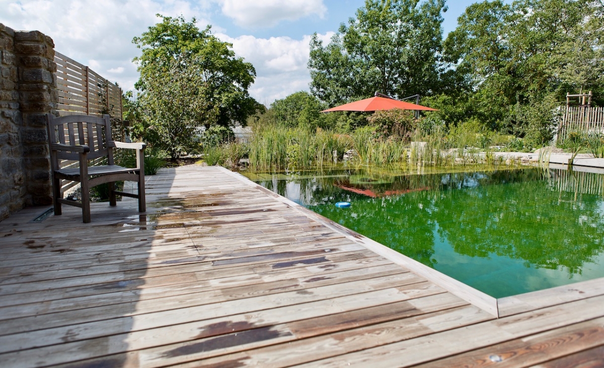 Piscine naturelle Contemporaines