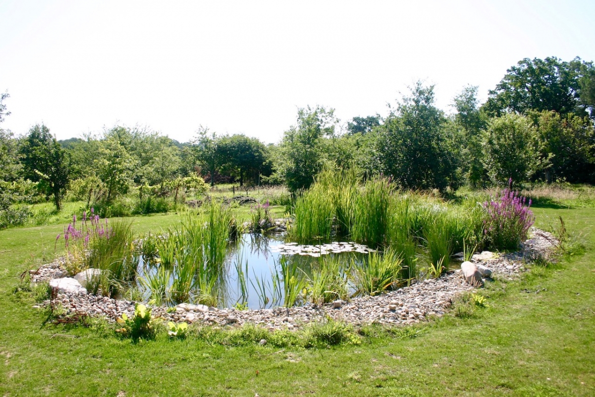 Baignade naturelle Tarn et Garonne