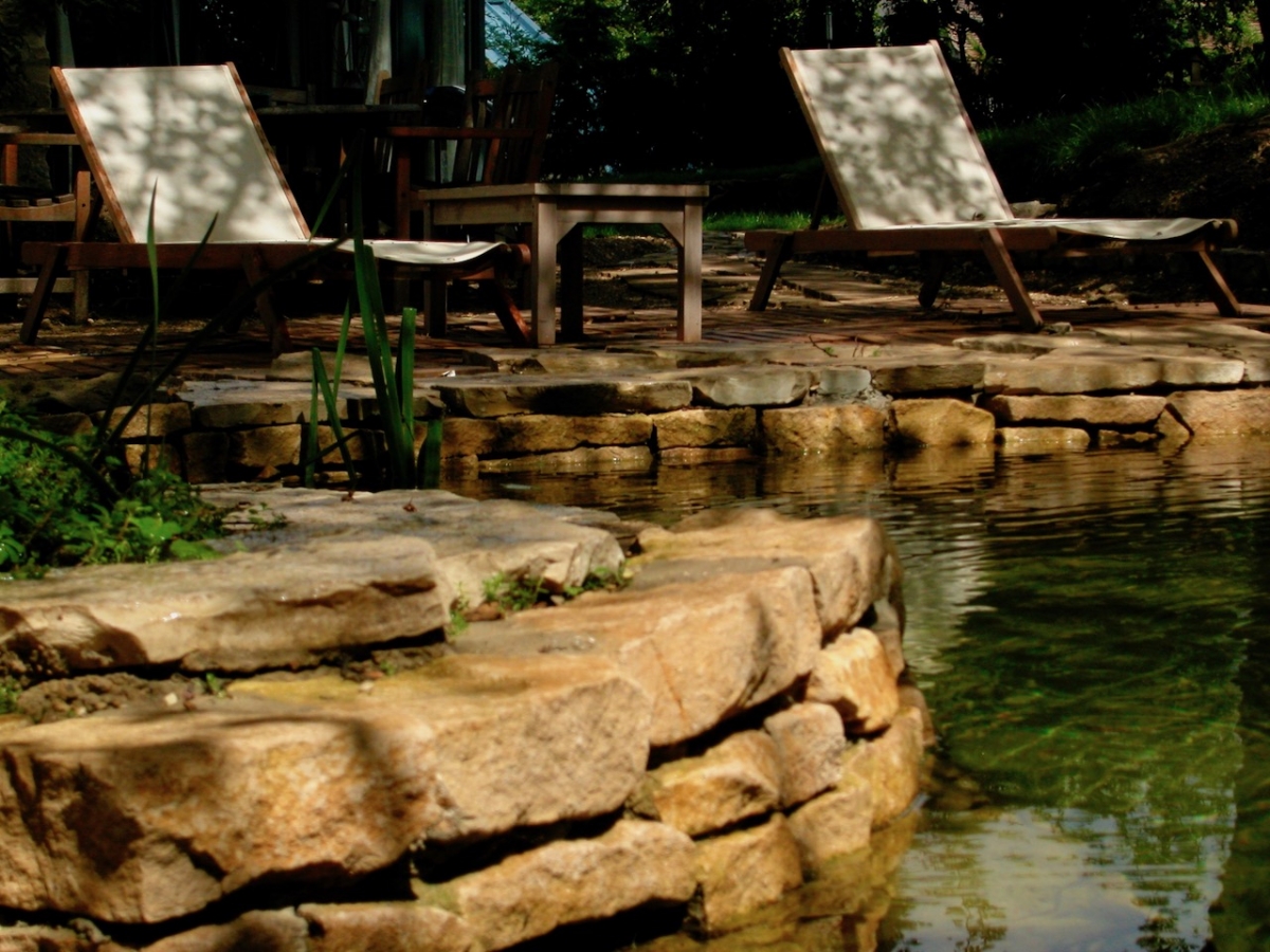 Piscine naturelle Yvelines