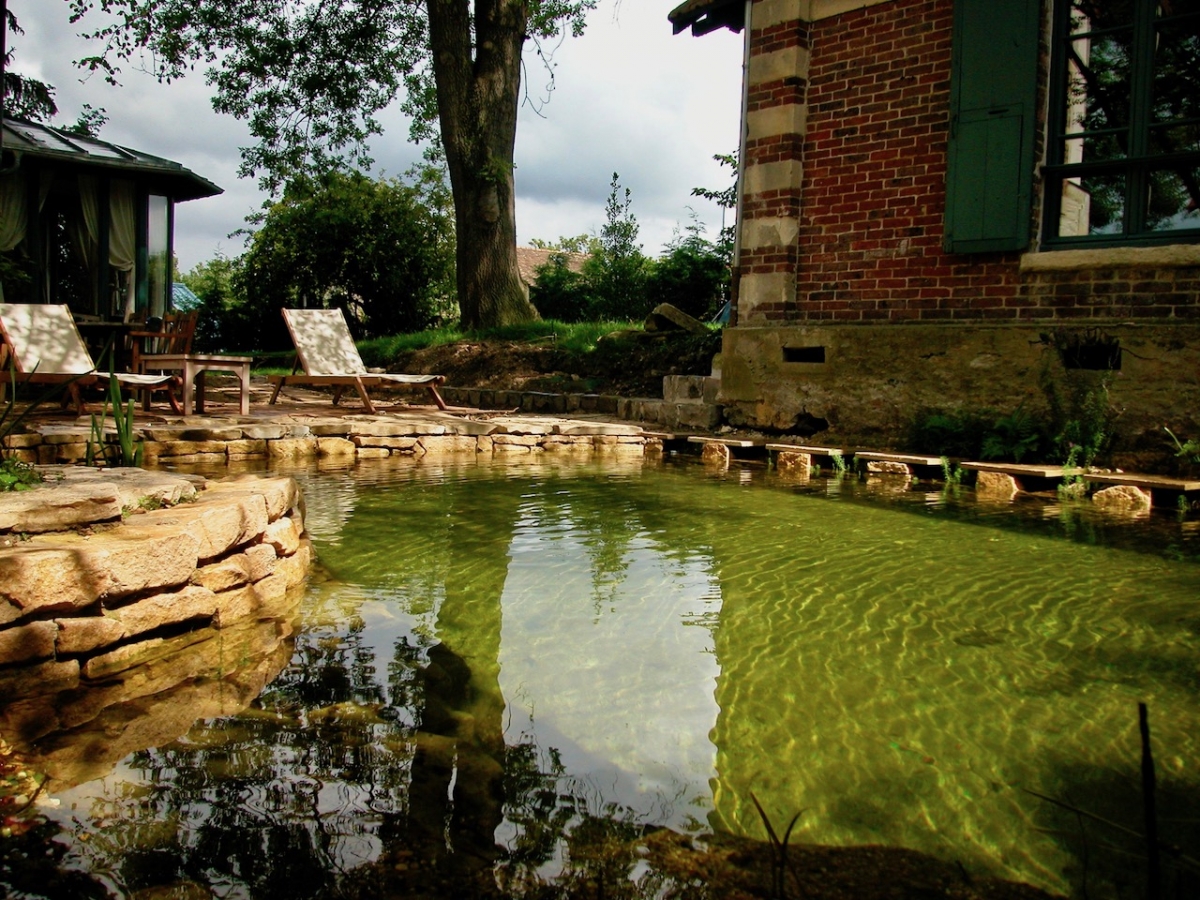 Piscine naturelle Yvelines