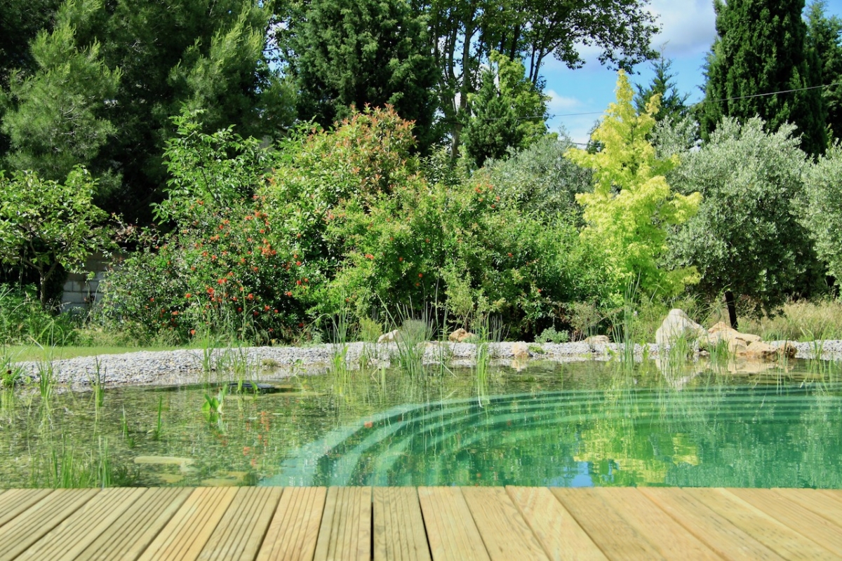 Piscine naturelle Bouches du Rhône