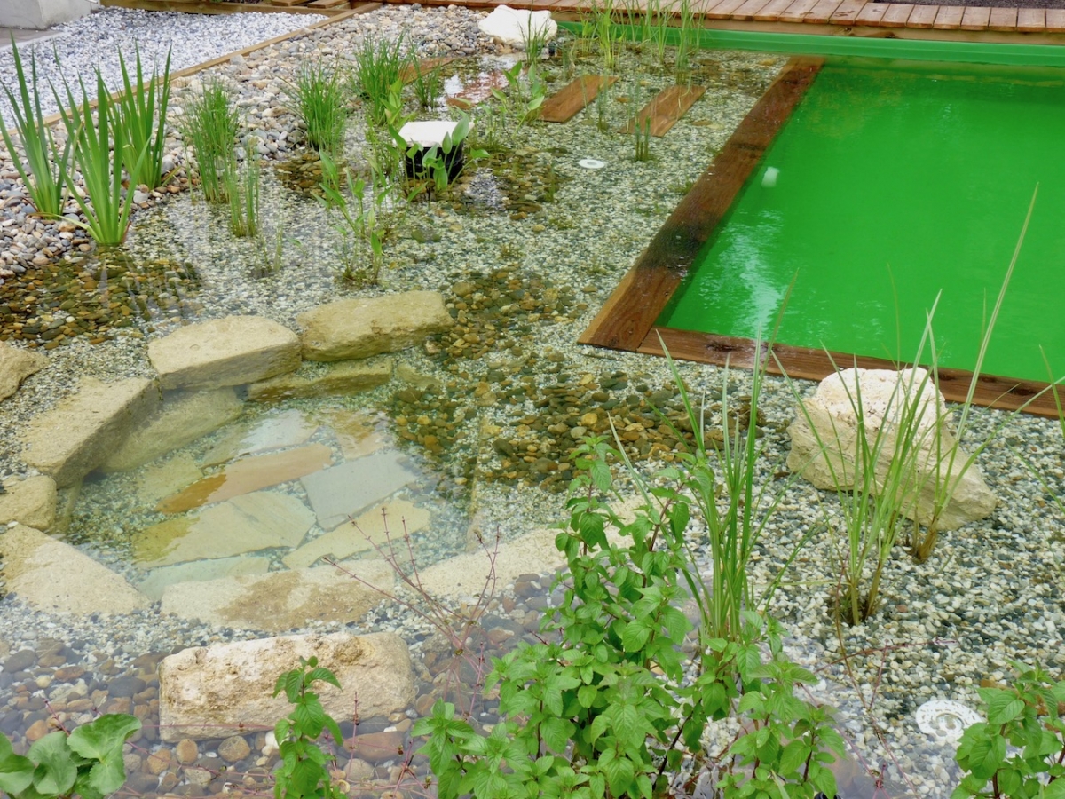 Piscine naturelle Gironde