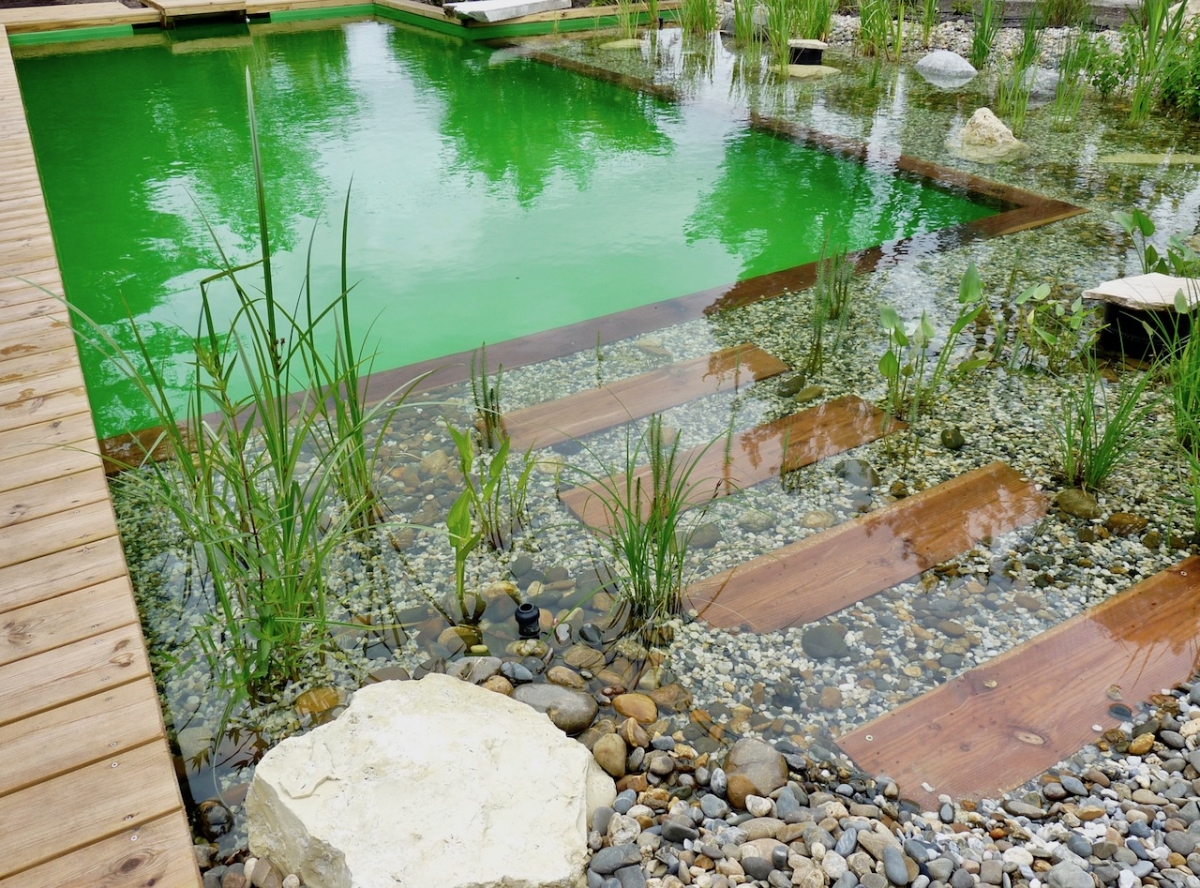 Piscine naturelle Gironde