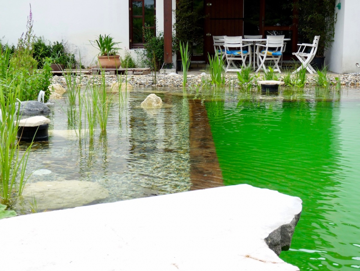 Piscine naturelle Gironde