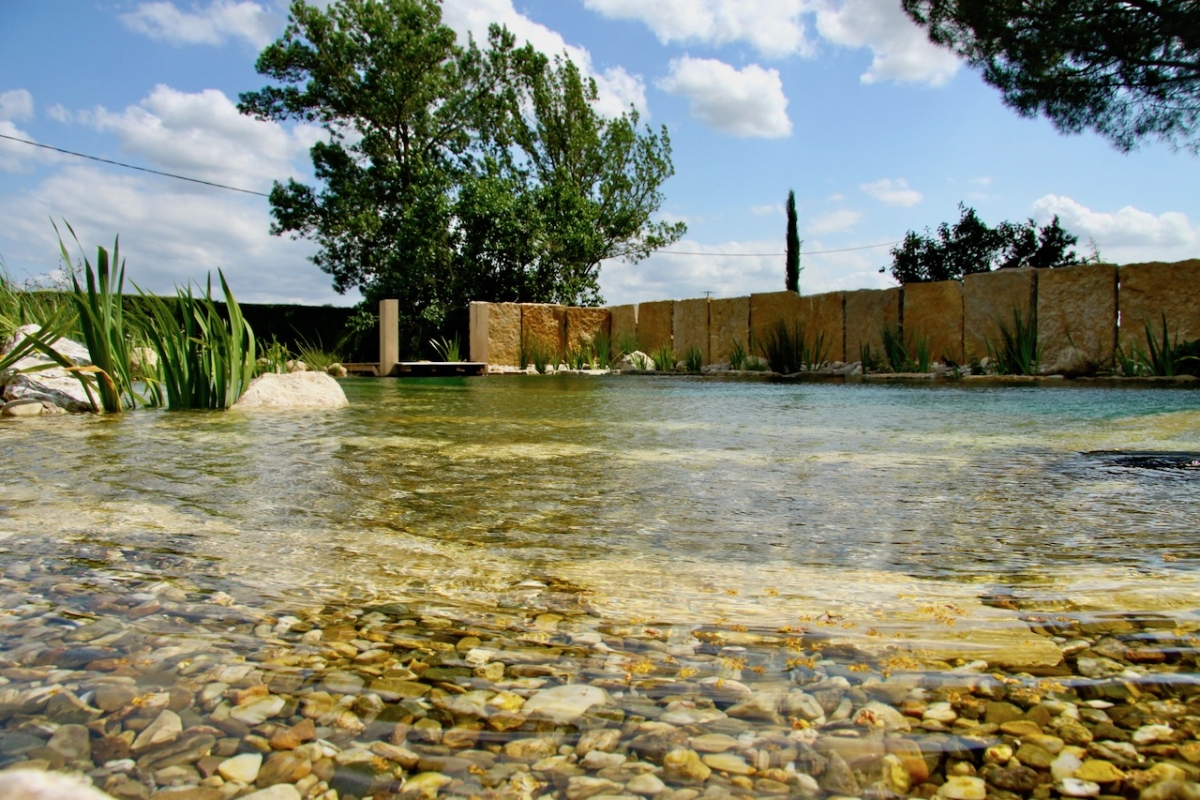 Piscine naturelle Lot