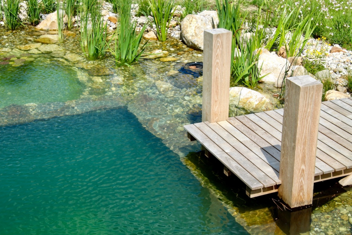 Piscine naturelle Lot