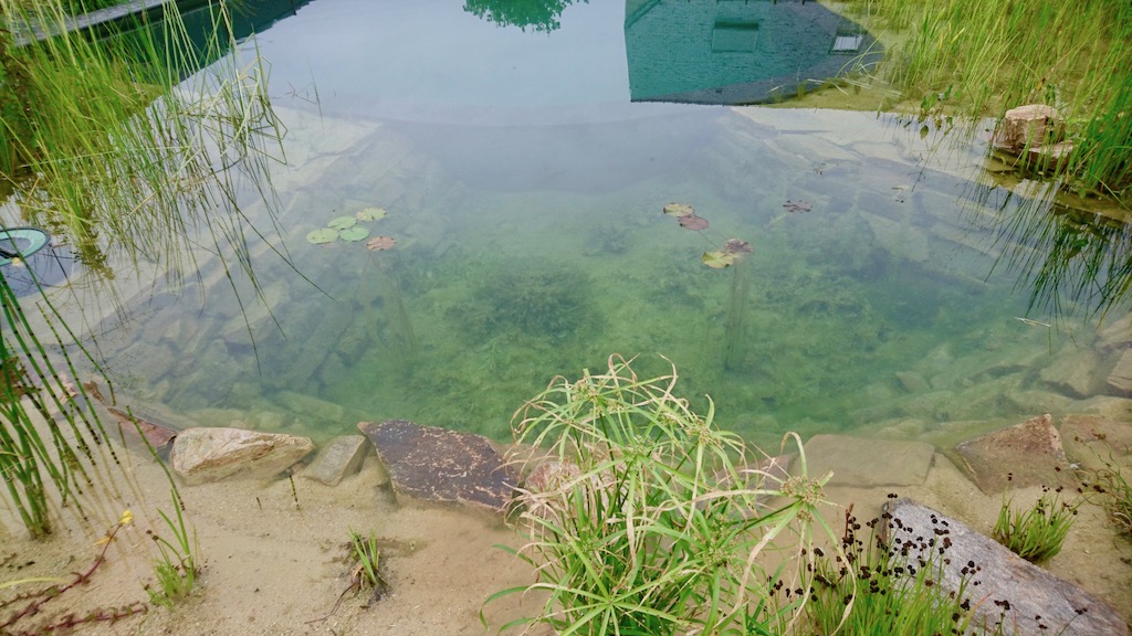 Piscine naturelle Morbihan - Bretagne 