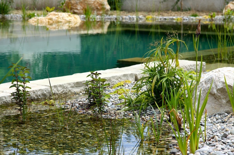 Piscine naturelle Var