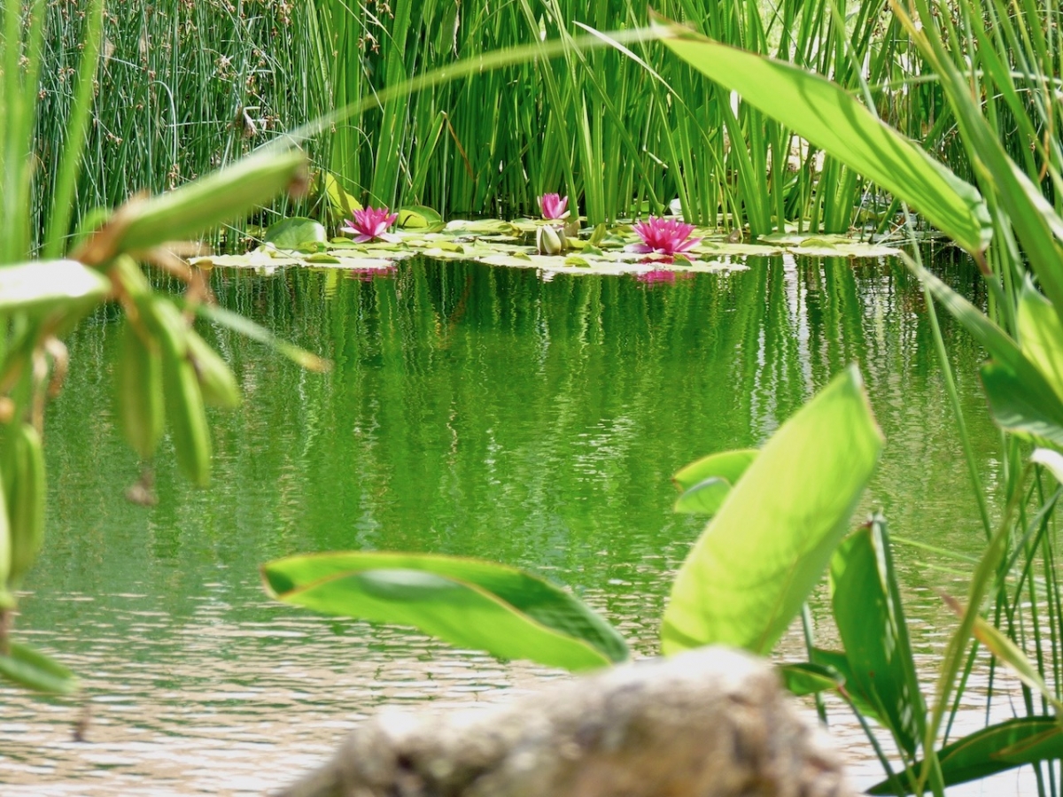 Baignade naturelle Haute-Garonne