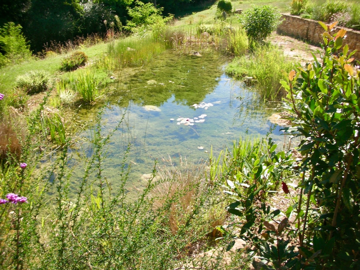 Piscine naturelle publique Dordogne